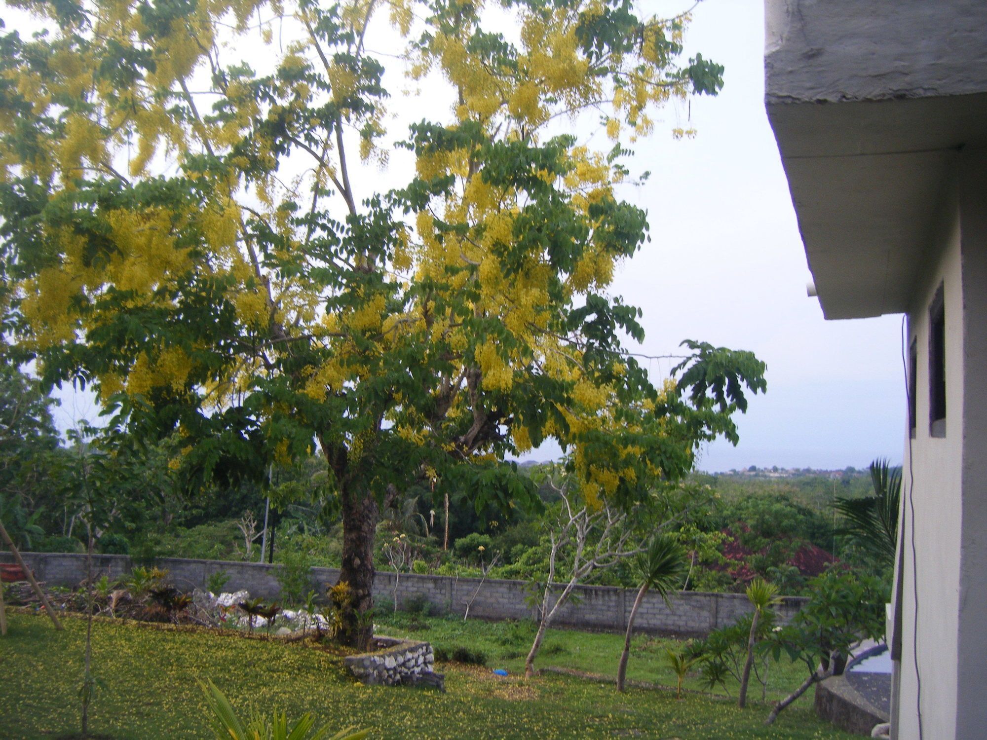 3D Homestay Pecatu Buitenkant foto