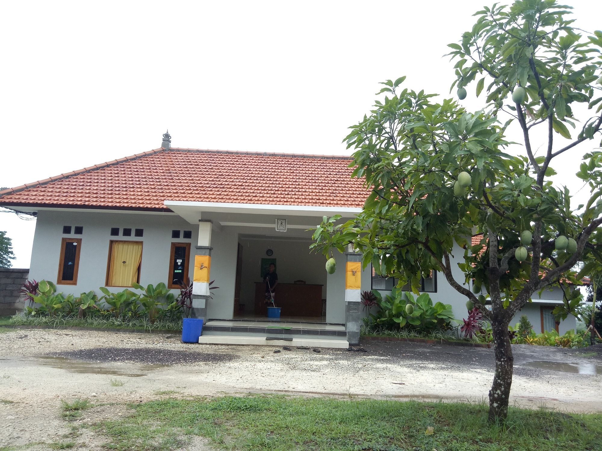 3D Homestay Pecatu Buitenkant foto